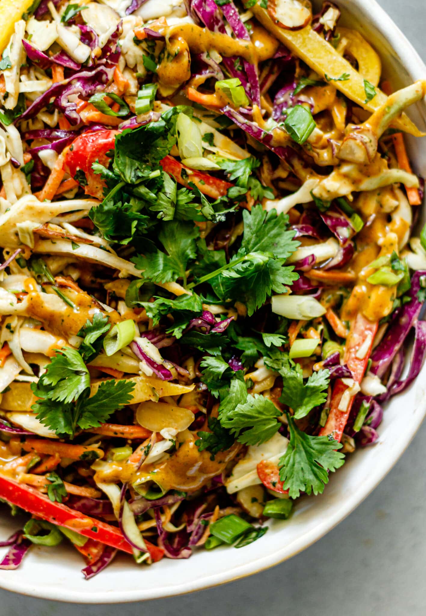 Thai Crunch Salad with Creamy Peanut Dressing - All the Healthy Things