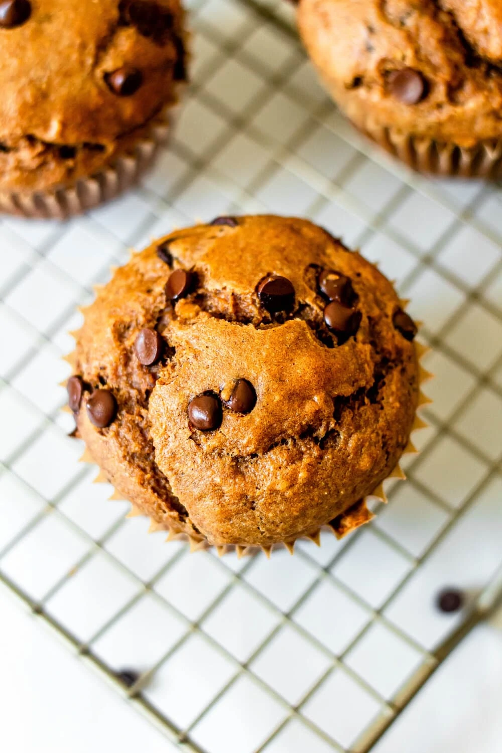 Healthy Peanut Butter Banana Oat Muffins_overhead.jpg