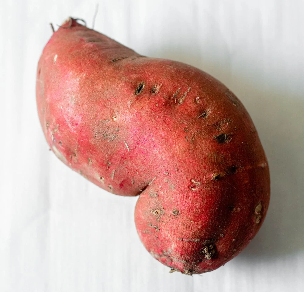How to Roast Sweet Potatoes_garnet sweet potato.jpg