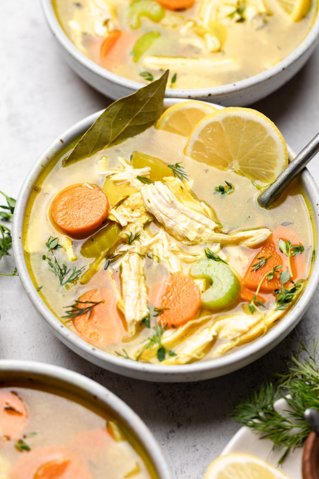 Cozy and Delicious Healthy Chicken Soup - All the Healthy Things