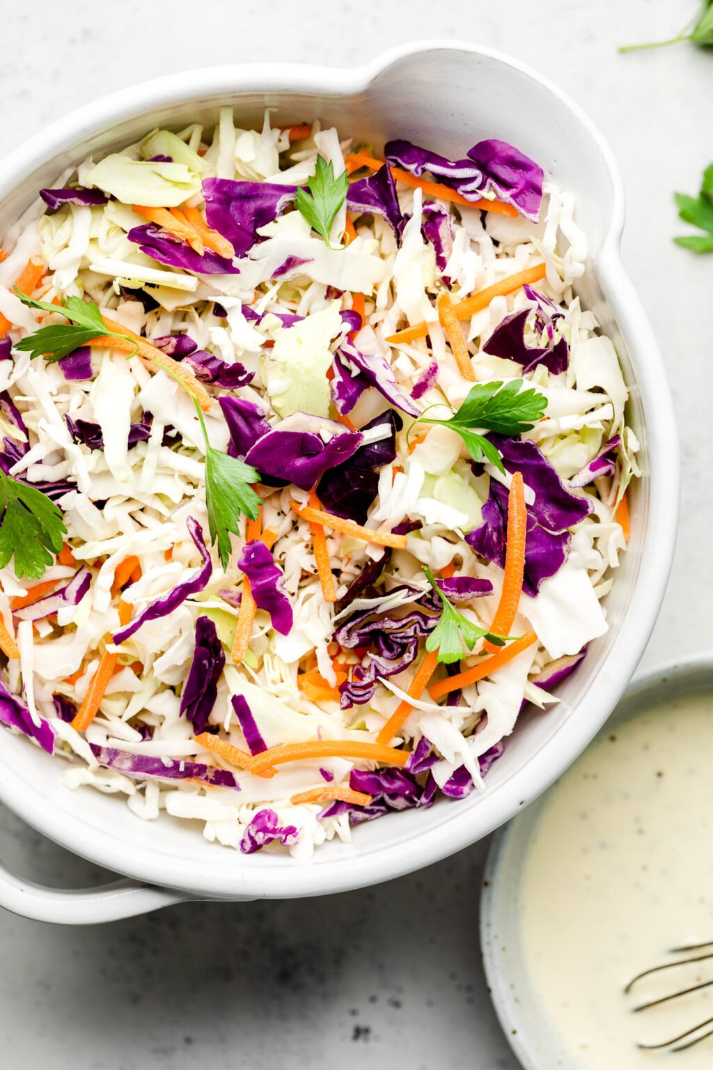 The Best Healthy Homemade Coleslaw All the Healthy Things