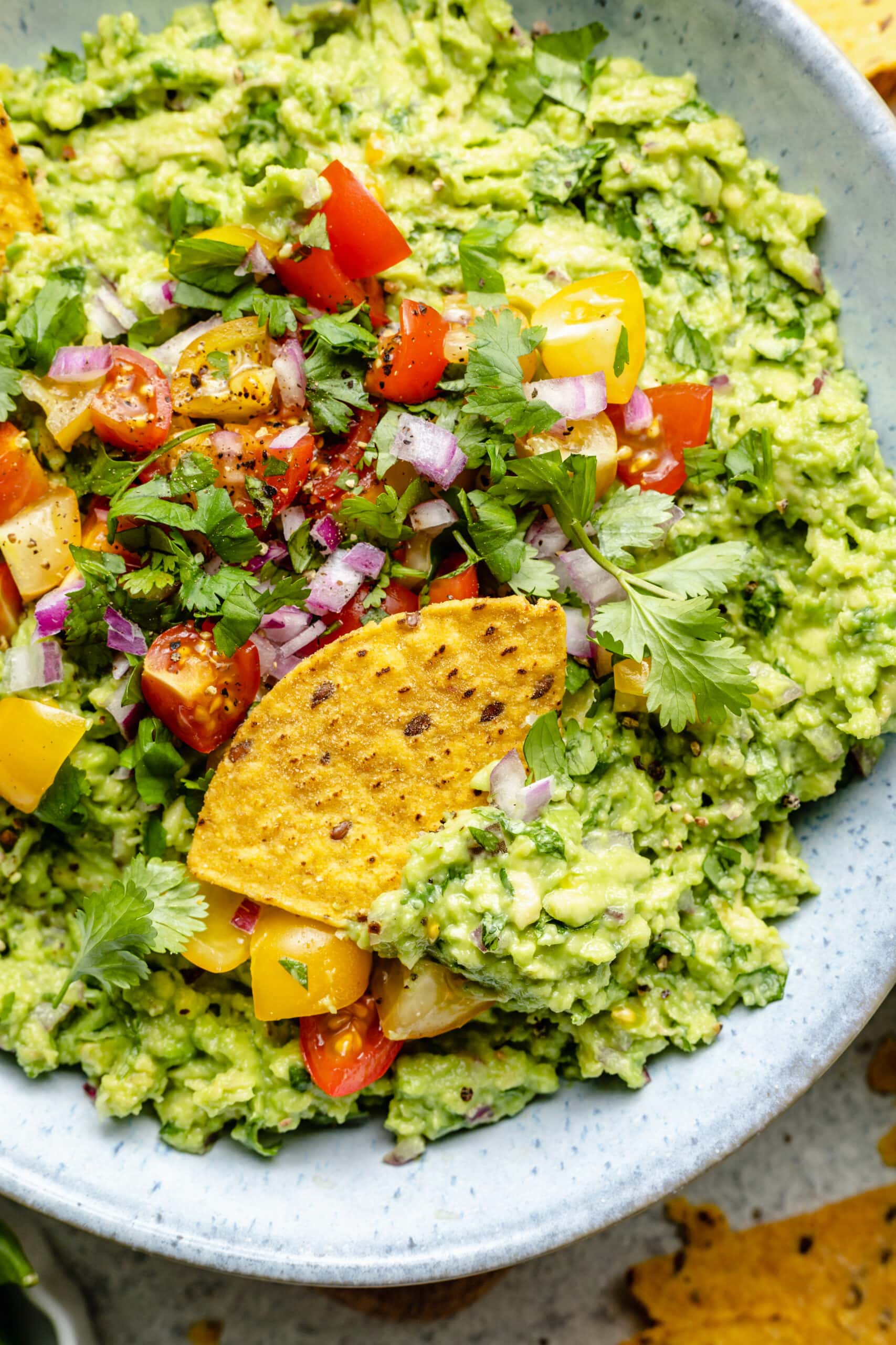 guacamole and tomatoes with a tortilla