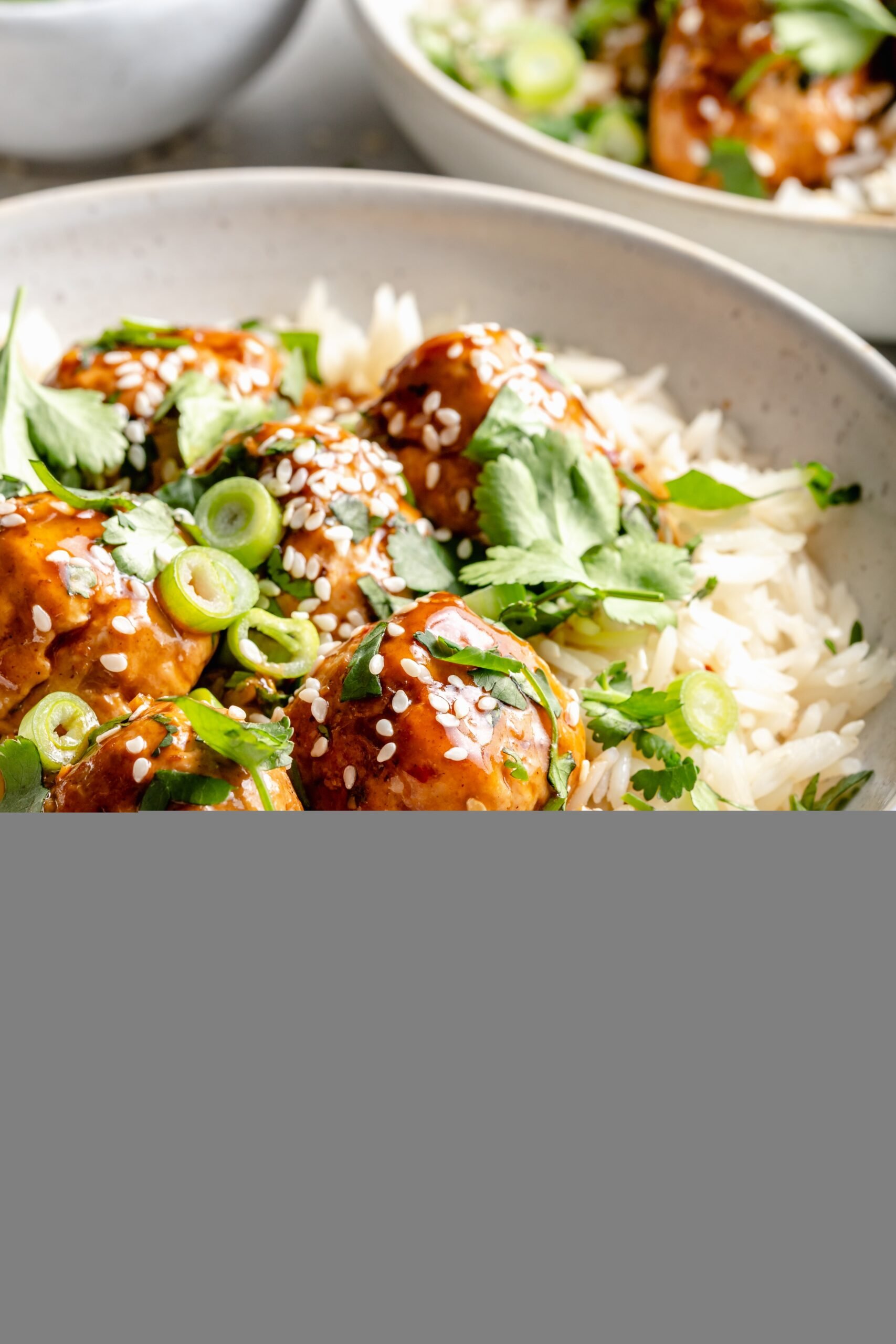 meatballs over rice with green onion