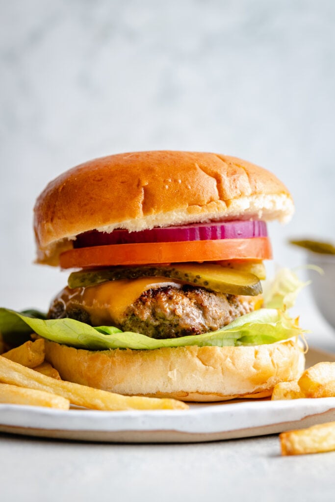 ground chicken burger with fries