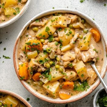 stew in bowl with spoon