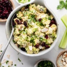 Curry Greek Yogurt Chicken Salad-image