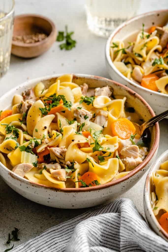 https://allthehealthythings.com/wp-content/uploads/2022/11/Turkey-Noodle-Soup-6-683x1024.jpg