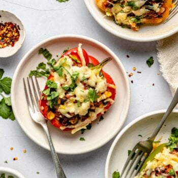 vegetarian stuffed pepper on plate