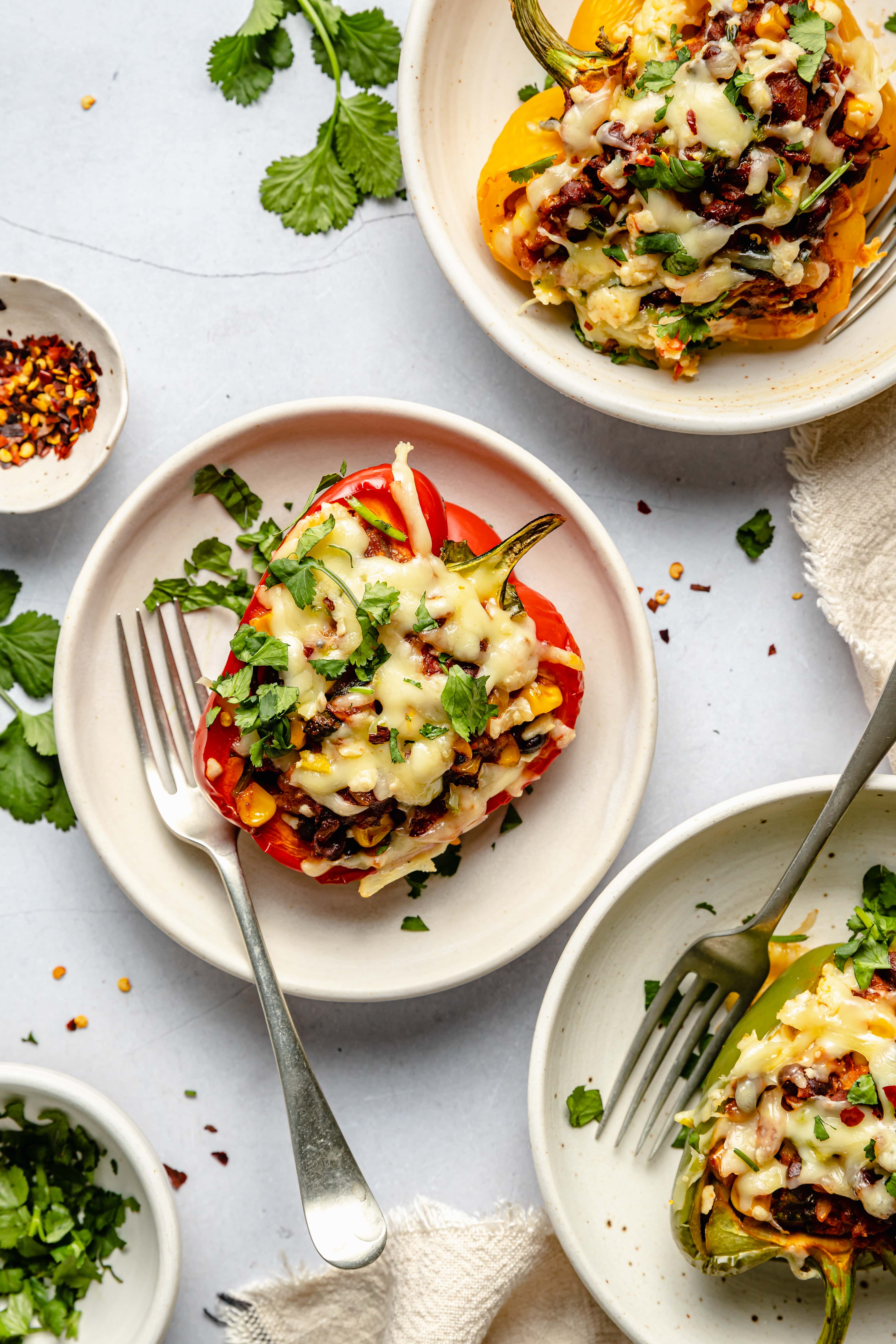 vegetarian stuffed pepper on plate