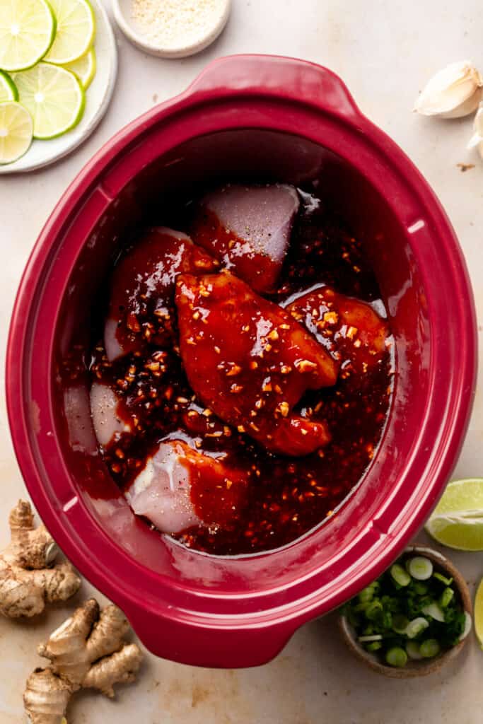 Honey Garlic Chicken Thighs (Slow Cooker) - All the Healthy Things