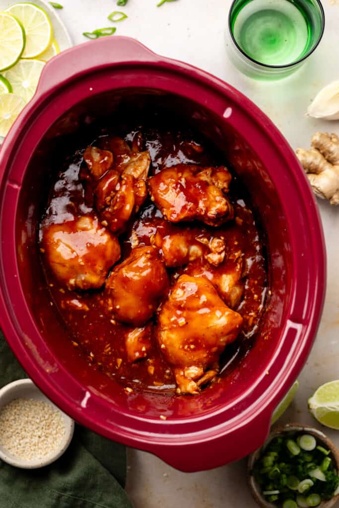 Honey Garlic Chicken Thighs (Slow Cooker) - All the Healthy Things