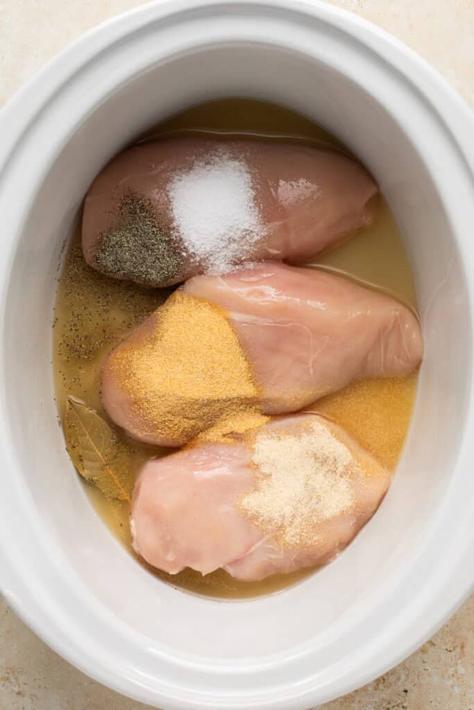 chicken, spices, and broth in slow cooker