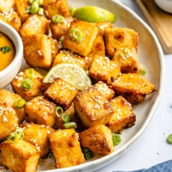 crispy tofu on sauce with dipping sauce