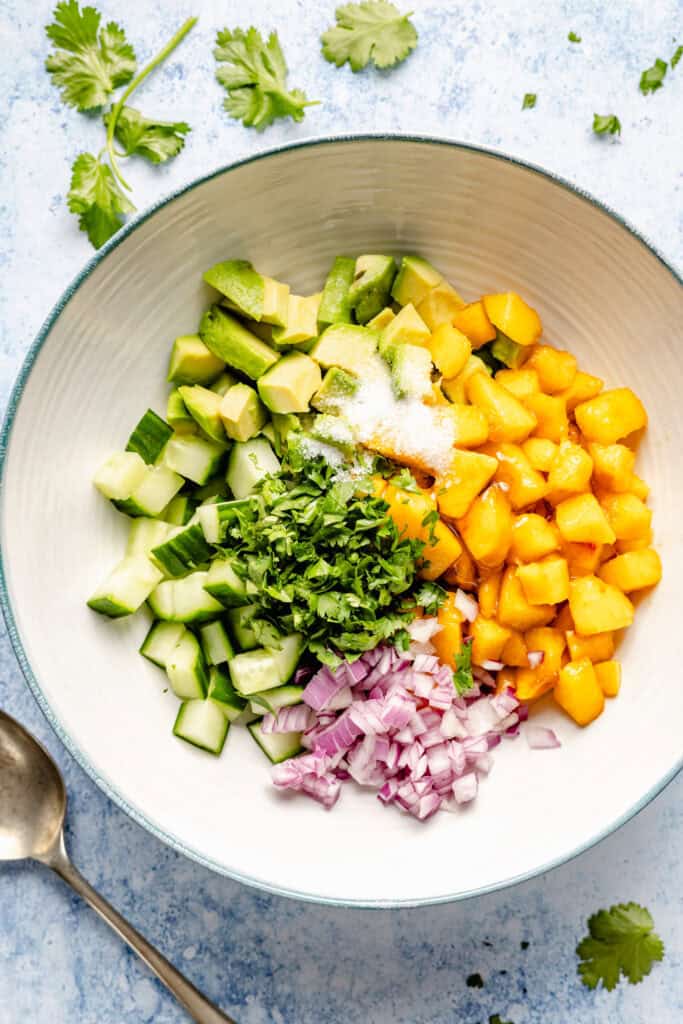 salsa ingredients in mixing bowl