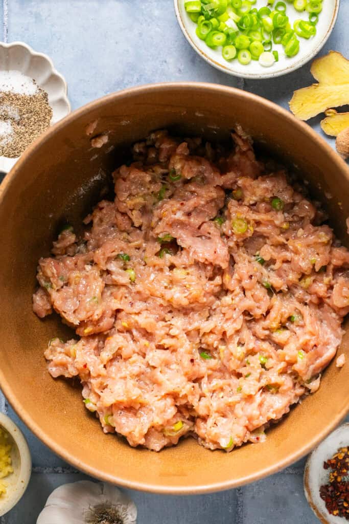 meatball mixture in mixing bowl