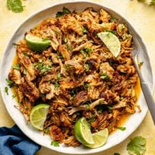 The Best Crispy Pork Carnitas