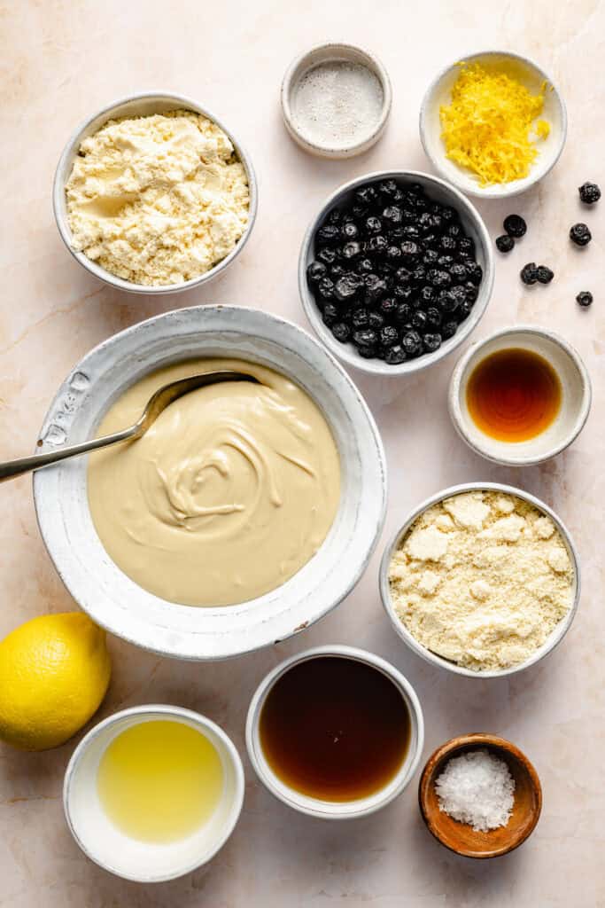 lemon blueberry protein ball ingredients