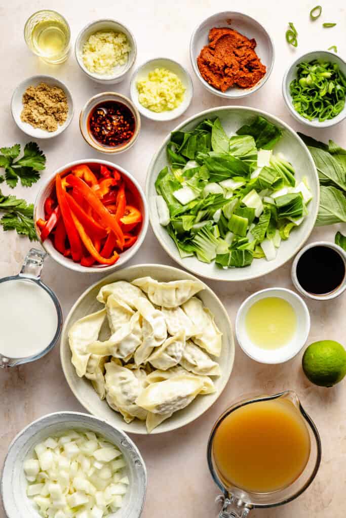 red curry dumpling soup ingredients