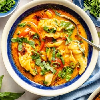 red curry dumpling soup in bowl
