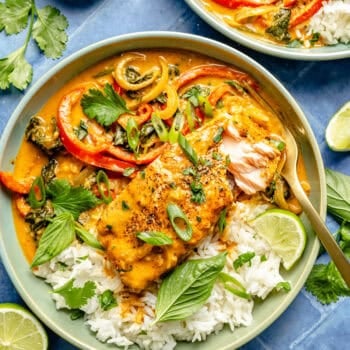 coconut curry salmon in bowl with rice