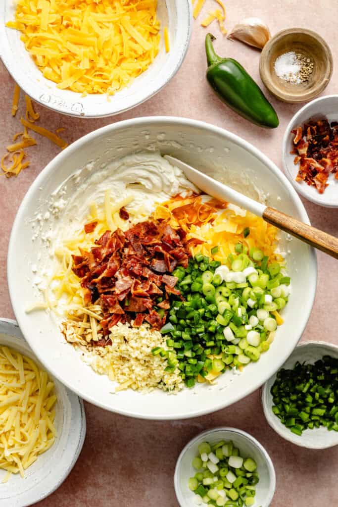 bacon, cheese, green onion, and garlic added to dip